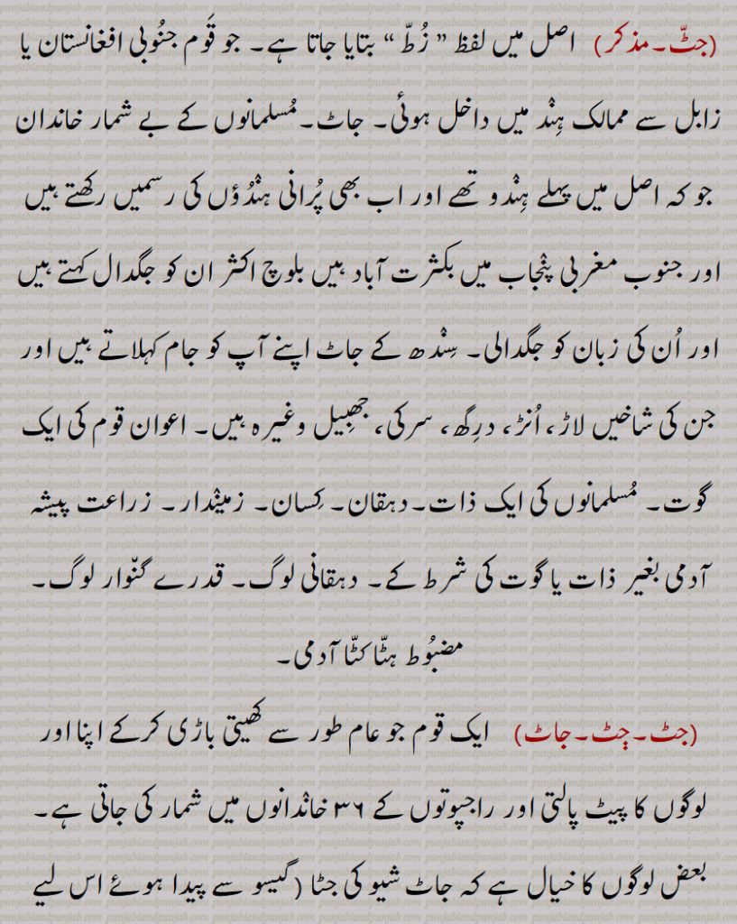 بدسھو۔ سدھرا۔ اکھڑ آدمی۔ جھلا,جٹ پنا,   جاٹوں والی عادتیں,جٹ جپھا۔جٹ جپھی,  اندھا دھند زور سے نپنا۔ مضبوط جپھا۔ بے ڈھنگے زور کا اظہار۔ جٹ جٹالی,جٹ جٹالی,   جٹ جپھا,جٹ جٹالیاں,دھکا زوری۔ دھینگو زوری,جٹ سوٹا مارنا,  سیدھی اور صاف بات کرنا۔ بغیر ول چھل کے بات کرنا,جٹ گنوار,گوار۔گوار,جٹ وادھ۔ جٹ واہد, جٹ جاتی۔ جاٹ لوگ۔ جٹ ویہڑ,جٹ ودیا۔جٹ بدیا, جاٹوں کی استادی۔ چھل۔ سیدھا اور سرل طریقہ۔ سادہ ڈھنگ,جٹ بہڑ, جٹ وہڑ,جٹ وہڑ۔ جٹ ویڑ۔ جٹ ویہڑ, جٹ بوٹ۔ جٹ بہڑ۔ جٹ بادھ۔ جاٹوں جیسا موٹا تازہ۔ ہٹا کٹا ۔ مشٹنڈا۔ موٹی بدھ والا۔ گنوار لوگ,جٹا,  جب جاٹ اپنے آپ کو ” اے بندہ“ کہے۔ اے جٹ بندے,جٹا تر, جاٹوں کے ساتھ تعلق رکھنے والا علاقہ۔ جاٹ قوم۔ مثلاً اوتھے بڑی جٹا تر کٹھی ہوئی بیٹھی ہے,جٹاں,  جاٹ لوگوں نے۔ جاٹوں نے,جٹٹڑا,  جاٹ,جٹاکا, جٹکا۔ جاٹکا۔