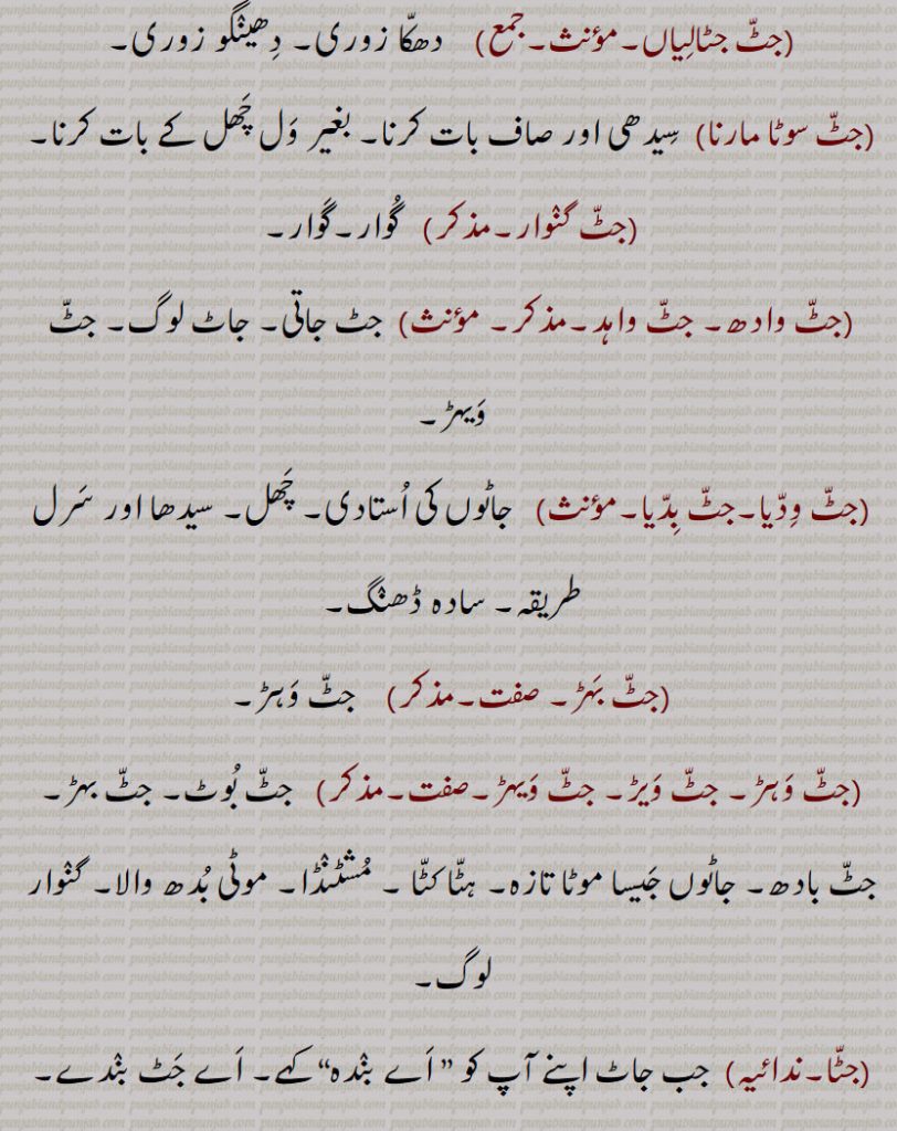  جاٹ ذات کی عورت۔ جٹ عورت۔تکڑی ہٹی کٹی اور لمبی عورت۔ 