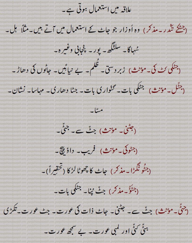 ,جٹیٹا۔جٹیٹڑا, جاٹ قوم کا,جٹیٹی۔ جٹیٹڑی,جٹیٹا سے۔ جاٹ کی لڑکی۔ جٹنی۔ زمیندارنی عورت۔