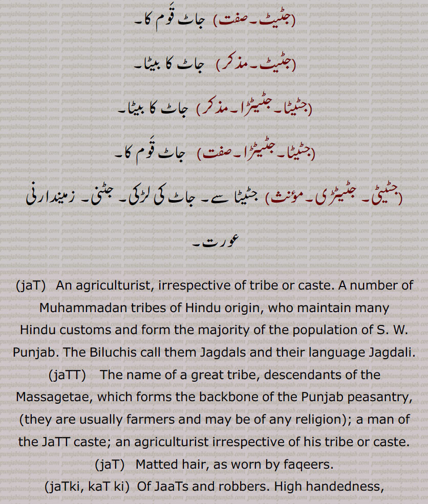 ,jaT, An agriculturist, irrespective of tribe or caste. A number of Muhammadan tribes of Hindu origin, who maintain many, Hindu customs and form the majority of the population of S. W. Punjab. The Biluchis call them Jagdals and their language Jagdali.,jaTT,    The name of a great tribe, descendants of the Massagetae, which forms the backbone of the Punjab peasantry, ,they are usually farmers and may be of any religion,; a man of the JaTT caste; an agriculturist irrespective of his tribe or caste.,jatt,  Matted hair, as worn by faqeers., jaTki, kaT ki,  Of JaaTs and robbers. High handedness, oppression, injustice., jaTki,  Of a JaTT., jaTeTa,   A child of a JaTT,  young male jaTT., jaTeTi,    A child of a JaTT.   , jaTka,   Of a JaTT.,jaTT booT,  jaTT bahiR, jaTT wahiR, wahaR,   Ignorant, rude, clownish, coarse.,jaTT waahad, jaTT waadh, 