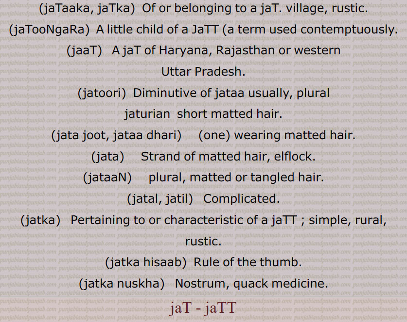 People of JaTT caste ,in derision,.,jaTT biddia, widdia,   The ingenuity and deceit which characterizes JaTTs.,jaTTi,  A female JaTT, a JaTT woman; a strong and rude woman.,jaTooNgaRa,  A little child of a JaTT ,a term used contemptuously.
,jaTooriaN,  Short matted hair.,jaTT jappha,  Seizing and throwing down by main force, as practiced by JaTTs and other rough plain people who are unacquainted with the arts of wrestlers, seizing suddenly in wrestling so as to preclude trick on the part of the opponent.,jaTbhutaan, jaTbhutaan,  A simpleton, fool, coarse person, perhaps equivalent to Hebrew, raaca.,jaTaaka, jaTka,  Of or belonging to a jaT. village, rustic.,jaTooNgaRa,  A little child of a JaTT ,a term used contemptuously.,jaaT,   A jaT of Haryana, Rajasthan or western
Uttar Pradesh.,jatoori,  Diminutive of jataa usually, plural jaturian  short matted hair.,jata joot, jataa dhari,     ,one, wearing matted hair.,jata,     Strand of matted hair, elflock.,jataaN,     plural, matted or tangled hair.,jatal, jatil,   Complicated.,jatka,   Pertaining to or characteristic of a jaTT ; simple, rural, rustic.,jatka hisaab,  Rule of the thumb.,jatka nuskha,   Nostrum, quack medicine. jaT - jaTT,