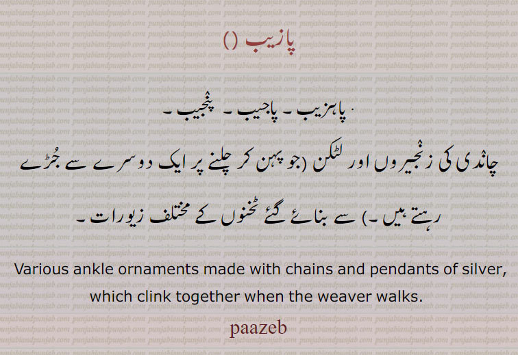 پازیب , پاہزیب۔ پاجیب۔  پنجیب۔
چاندی کی زنجیروں اور لٹکن (جو پہن کر چلنے پر ایک دوسرے سے جڑے رہتے ہیں۔) سے بنائے گئے ٹخنوں کے مختلف زیورات۔
 Various ankle ornaments made with chains and pendants of silver, which clink together when the weaver walks. , paazeb, pazeb
