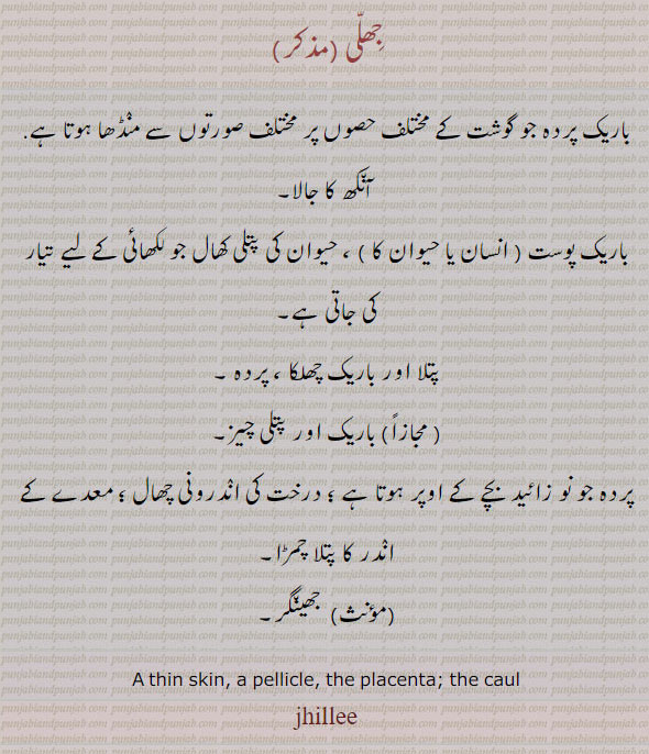 جھلی,جھل,jhalee,ਝਿੱਲੀ,jhulee,ਝੁਲੀ,jhullee,ਝੁੱਲੀ,jhull,ਝੁੱਲ,jhillee,ਝਿੱਲੀ,thin skin. pellicle. placenta. caul,آنکھ کا جالا,پردہ,باریک چھلکا,اندرونی چھال,جھینگر, باریک پردہ گوشت کا۔ آنکھ کا جالا۔ کھال جو لکھائی کے لیے تیار۔ باریک چھلکا۔ پتلی چیز۔ درخت کی اندرونی چھال۔ معدے کے اندر کا ۔ جھینگر۔, 