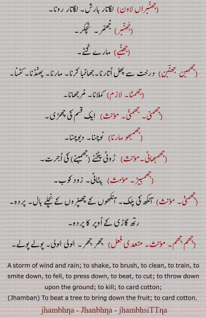 , کملانا۔ مرجھانا,جھمنی۔ جھمنی,  ایک قسم کی چھڑی,جھمبھو مارنا,نوچنا۔ دبوچنا,جھمبھائی,  روئی پٹخنے (جھمبنے) کی اجرت,جھمبیڑ,  پٹائی۔ زود کوب,جھمنی, آنکھ کی پلک۔ آنکھوں کے چھپروں کے نچلے بال۔ پردہ۔ رتھ گاڑی کے اوپر کا پردہ,جھم جھم,  جھر جھر۔ ہولی ہولی۔ پولے پولے۔
A storm of wind and rain; to shake, to brush, to clean, to train, to smite down, to fell, to press down, to beat, to cut; to throw down upon the ground; to kill; to card cotton;, Jhamban, To beat a tree to bring down the fruit; to card cotton. , jhambhna, jhaNbhna, ਝੰਭਣਾ,  jhambhna,  Jhanbhna, ਝੰਭਸਿਟੱਣਾ, jhambhsiTTna ,  جھنبھنا,  جھمبھنا ,  جھمبھسٹنا ، جھمبھ سٹنا
