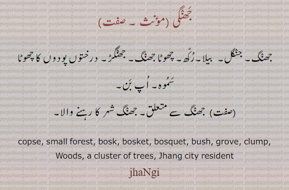 jhangi , ਝੰਗੀ ,Woods, a large cluster of trees, جھنٛگی, copse. small forest. bosk. boslet. bosquet. bush. grove. clump. jhang city resident.جھنگ۔ جنگل۔ نیلا۔ رکھ۔ چھوٹا جھنگ۔ جھنگڑ۔ فرختوں پودوں کا سموہ۔ اُپ بَن۔ جھنگ سے متعلق۔ جھنگ چہر کا رہنے والا۔