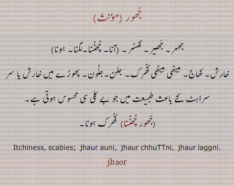 جھور,جھہر۔ جھیر۔ کھسر۔ جھور آنا۔جھور  چھٹنا۔جھور لگنا۔جھور ہونا, خارش۔ کھاج۔ میٹھی میٹھی کھرک۔ جلن۔جلون۔ پھوڑے میں خارش یا سر سراہٹ کے باعث طبیعت میں جو بے کلی سی محسوس ہوتی ہے,جھور چھٹنا, کھرک ہونا۔
Itchiness, scabies;  jhaur auni,  jhaur chhuTTni,  jhaur laggni. jhaur,  jhaor, ਝੌਰ