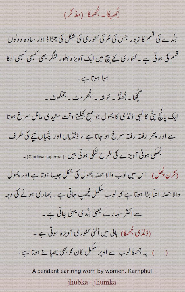  جھبکا۔ جھمکا ,بندے کی قسم کا زیور جس کی مرکی کٹوری کی شکل کی جڑاؤ اور سادہ دونوں قسم کی ہوتی ہے۔ کٹوری کے بیچ میں ایک آویزہ بطور لنگر بھی کبھی کبھی لٹکا ہوا ہوتا ہے,گچھا۔ جھنڈ۔ خوشہ۔  جھرمٹ۔ جمگھٹ,ایک پانچ پتی کا لمبی ڈنڈی کا پھول جو صبح کھلتے وقت سفیدی مائل سرخ ہوتا ہے اور پھر رفتہ رفتہ سرخ ہو جاتا ہے ، ڈنڈیاں اور پتیاں نیچے کی طرف جھکی ہوئی آویزے کی طرح لٹکی ہوتی ہیں ۔
,کرن پھل, اس میں لوب والا حصہ پھول کی شکل جیسا ہوتا ہے اور پھول  والا حصہ اتنا بڑا ہوتا ہے کہ لوب مکمل چھپ جاتی ہے۔ بھاری ہونے کی وجہ سے اکثر سہارے یعنی بندی پہنی جاتی ہے,ڈنڈی جھمکا, بالی میں الٹی کٹوری آویزہ ہوتی ہے۔
 یہ جھمکا لوب سے اوپر مکمل کان کو بھی چھپائے ہوتا ہے۔
A pendant ear ring worn by women. Karnphul, jhubka, jhumka,  Gloriosa superbajhummka, ਝੁਬਕਾ,ਝੁਬਕ, ਝੁਮਕਾ, ਝੁਮਕਣ, ,jhumkan,Traditional Ornaments of Punjab,Jewellery,jewelry,zaiwar,زیور, ,گہنا,بھوکھن,النکار,ٹوم,ٹومب,ٹونب چھلا 
