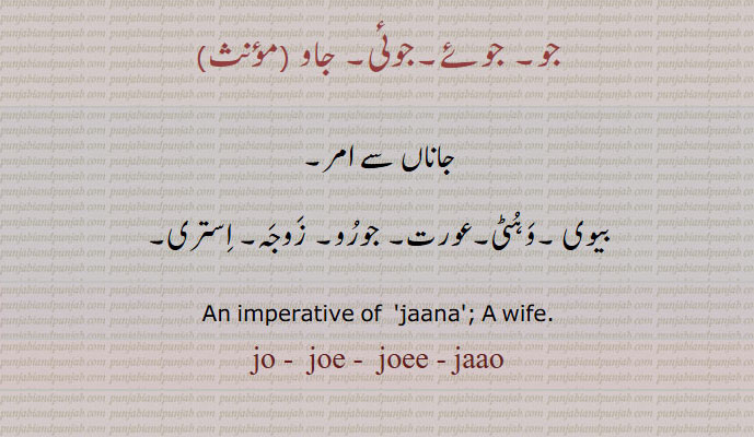 جو۔ جوئے۔جوئی۔ جاو  ,جاناں سے ,بیوی ۔وَہُٹی۔عورت۔ جورُو۔ زَوجَہ۔ اِستری۔
An imperative of  'jaana'; A wife. jo -  joe -  joee - jaao, ਜੋ