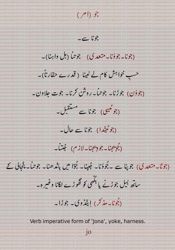 جو ,جونا سے,جووَنا, جوتنا,ہل واہنا,حسبِ خواہش کام لے لینا ,جووَن, جوڑنا۔ جوتنا۔روشن کرنا,جوت جلاون,جوئیسی, جونا سے مستقبل,جوئینٛدا, جونا سے حال,جُوِیجنا۔جووِیجنا, جُتنا,جونا,جوپنا سے ۔جُووَنا۔ جُپنا۔ جُؤا میں بانٛدھنا۔ جوتنا۔پنٛجالی کے ساتھ بَیل جوڑنے یا بگّھی کو گھوڑے لگانا وغیرہ,جُونا,  اِینٛڈوی۔ جوڑا۔
Verb imperative form of 'jona', yoke, harness.  jo, ਜਾਓ,ਜੋ,jowan, ਜੋਵਨ,