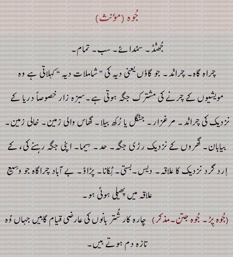 جوہ ,جھنڈ۔ سمدائے۔ سب۔ تمام۔
چراہ گاہ۔ چراند۔ جو گاؤں یعنی دیہ کی ” شاملات دیہ “ کہلاتی ہے وہ مویشیوں کے چرنے کی مشترک جگہ ہوتی ہے۔سبزہ زار خصوصاً دریا کے نزدیک کی چراند۔ مرغزار۔ جنگل یا رکھ بیلا۔ گھاس والی زمین۔ خالی زمین۔ بیابان۔ گھروں کے نزدیک رڑی جگہ۔ حد۔ سیما۔ اپنی جگہ رہنے کی، کے ارد گرد نزدیک کا علاقہ۔ دیس۔بستی۔ ٹکانا۔ پڑاؤ۔ بے آباد چراگاہ جو وسیع علاقہ میں پھیلی ہوئی ہو,جوہ پڑ۔ جوہ جتن,چارہ کار شتر بانوں کی عارضی قیام گاہیں جہاں وہ تازہ دم ہوتے ہیں,جوہ جنگل, 