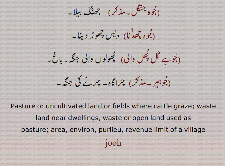   جھنگ بیلا,جوہ چھڈنا, دیس چھوڑ دینا,جوہے گل پھل والی,  پھولوں والی جگہ۔باغ,جوہیر,چراگاہ۔ چرنے کی جگہ۔
Pasture or uncultivated land or fields where cattle graze; waste land near dwellings, waste or open land used as pasture; area, environ, purlieu, revenue limit of a village, jooh, juh, ਜੂਹ, 
