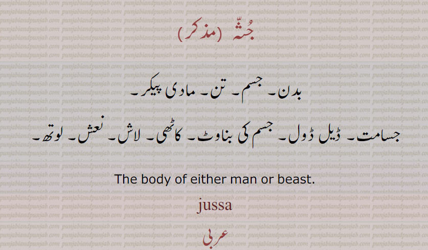 جُثّہ, بدن۔ جسم۔ تن۔ مادی پیکر, جسامت۔ ڈیل ڈول۔ جسم کی بناوٹ۔ کاٹھی۔ لاش۔ نعش۔ لوتھ۔
The body of either man or beast. ,jussa, ਜੁੱਸਾ ,جثہ
