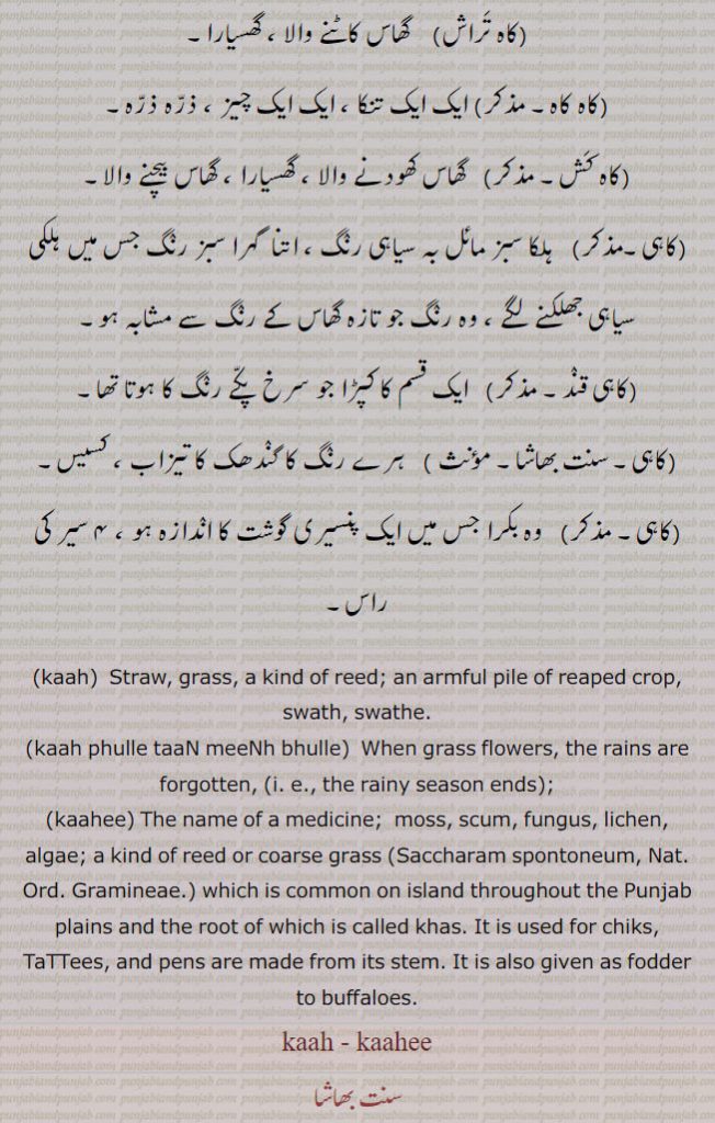  ਕਾਹ, kaahee, ਕਾਹੀ,
ਕਹ, kah,kaah. Straw, grass, a kind of reed,
kaaah phulle taan meenh bhulle, When grass flowers, the rains are forgotten, the rainy season ends.
 ਕਾਹੀ, kahi, kaahee, The name of a medicine; moss, scum, fungus,lichen,algae, a kind of reed or coarse grass (Saccharam spontoneum, Nat. Ord. Gramineae.) which is common on island throughout the Punjab plains and the root of which is called khas. It is used for chiks, tattees, tattis,   and pens qalam are made from its stem. It is also given as fodder to buffaloes.