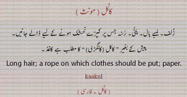 ਕਾਕੁਲ,kakul, kaakul. long hair. rope on which clothes should be put . paper.پٹی۔ رسہ جس پر کپڑے خشک ہونے کے لیے ڈالے جاتے ہیں۔ کانگڑی۔ کاغذ۔,زلف,کاغذ,لمبے بال