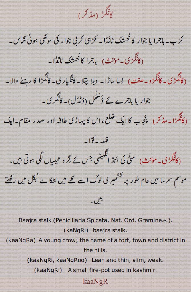 کانگڑ , کڑب۔باجرا یا جوار کا خشک ٹانڈا۔ کڑہی کربی جوار کی سوکھی ہوئی گھاس,کانگڑی,  باجرا کا خشک ٹانڈا,کانگڑی۔کانگڑو,  لسا ماڑا۔ دبلا پتلا۔کانگیاری۔کانگڑا کا رہنے والا,جوار یا باجرے کے ڈنٹھل,ڈنڈل,۔کانگری,کانگڑا,   پنجاب کا ایک ضلع، اس کا پہاڑی علاقہ اور صدر مقام۔ایک قلعہ۔کوا,کانگڑی, مٹی کی ہتھ انگیٹھی جس کے گرد تیلیاں لگی ہوتی ہیں، موسم سرما میں عام طور پر کشمیری لوگ اسے گلے میں لٹکائے بکل میں رکھتے ہیں۔
Baajra stalk (Penicillaria Spicata, Nat. Ord. Gramineae, kaNgRi, baajra stalk, kaaNgRa,  A young crow; the name of a fort, town and district in the hills., kaaNgRi, kaaNgRoo,  Lean and thin, slim, weak., kaaNgRi,  A small fire-pot used in kashmir.,kaaNgR, ਕਾਂਗੜ,ਕਾਂਗਡ਼ੀ, ਕਾਂਗੜੀ,ਕਾਂਗੜੂ,  ਕਾਂਗਡ਼ੀ,