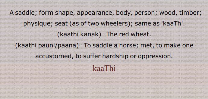   A saddle; form shape, appearance, body, person; wood, timber; physique; seat (as of two wheelers); same as 'kaaTh'.,kaathi kanak,The red wheat.,kaathi pauni,kaathi paana,   To saddle a horse; met, to make one accustomed, to suffer hardship or oppression.
kaaThi  ی,kaathi, ਕਾਠੀ, ਕਾਠ, A saddle,kaathi kanak, The red wheat,kaathi pauni,kaathi paana,kaaThi