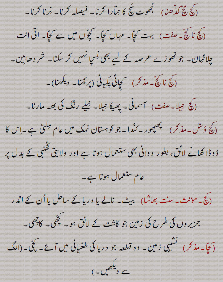 ,کچ مچ کڈھنا,  جھوٹ سچ کا نتارا کرنا۔ فیصلہ کرنا۔ نرنا کرنا,کچ نا کچ,  بہت کچا۔ مہاں کچا۔ کچوں میں سے کچا۔ اتی انت چلائمان۔ جو تھوڑے عرصہ کے لیے بھی نسچا نہیں کر سکتا۔ شردھاہین,کچ نا کچ,کچائی پکیائی , کچ نا کچ پرکھنا۔کچ نا کچ دیکھنا ,کچ  نیلا,  آسمانی۔ پھیکا نیلا۔ نیلے رنگ کی بھہ مارنا,کچ وسل,  پھپھور۔کندا۔جو کوہستان نمک میں عام ملتی ہے۔اس کا ڈوڈا کھانے لائق، بطور دوائی بھی ستعمال ہوتا ہے اور ولایتی کھنبی کے بدل پر عام ستعمال ہوتا ہے,کچ,  بیٹ۔ نالے یا دریا کے ساحل یا ان کے اندر جزیروں کی طرح کی زمین جو کاشت کے لائق ہو۔ کچھی۔ کاچھی,کچا,نشیبی زمین۔ وہ قطعہ جو دریا کی طغیانی میں آئے۔ کچی,کچی,,نشیبی زمین۔ وہ قطعہ جو دریا کی طغیانی میں آئے