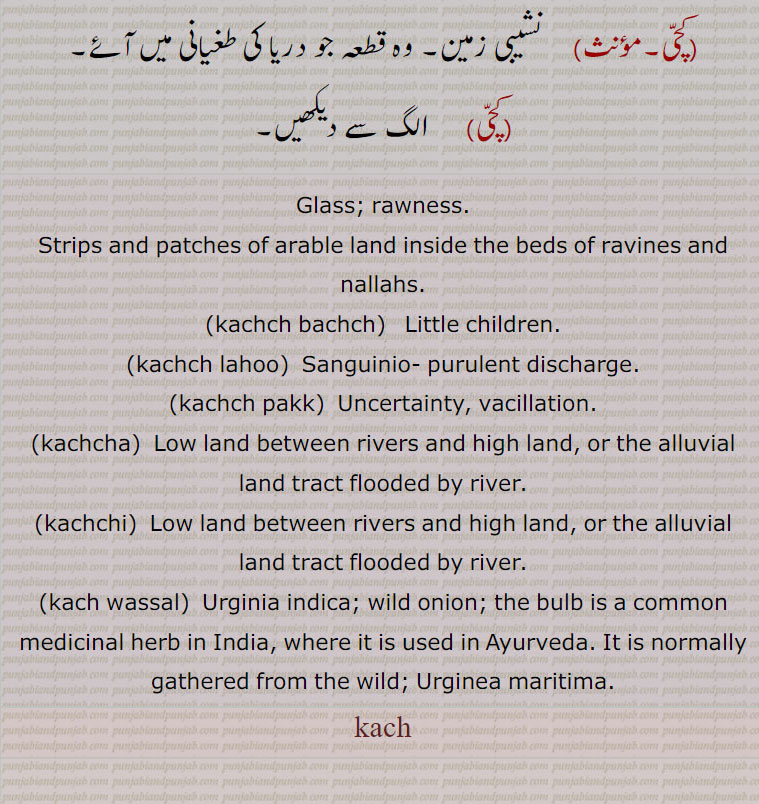 Glass; rawness., Strips and patches of arable land inside the beds of ravines and nallahs.,kachch bachch,  Little children.,kachch lahoo,  Sanguinio- purulent discharge.,kachch pakk,  Uncertainty, vacillation.,kachcha, Low land between rivers and high land, or the alluvial land tract flooded by river.,kachchi,  Low land between rivers and high land, or the alluvial land tract flooded by river.,kach wassal, Urginia indica; wild onion; the bulb is a common medicinal herb in India, where it is used in Ayurveda. It is normally gathered from the wild; Urginea maritima., kach, ਕਚ,kachch, ਕੱਚ
