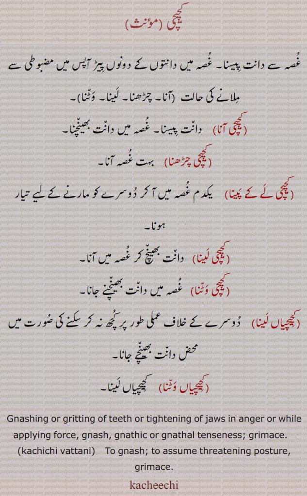 کچیچی,غصہ سے دانت پیسنا۔ غصہ میں دانتوں کے دونوں پیڑ آپس میں مضبوطی سے ملانے کی حالت,کچیچی آنا۔کچیچی چڑھنا۔کچیچی لینا۔کچیچی وٹنا ,کچیچی آنا, دانت پیسنا۔ غصہ میں دانت بھینچنا,کچیچی چڑھنا, بہت غصہ آنا,کچیچی لے کے پینا,  یکدم غصہ میں آ کر دوسرے کو مارنے کے لیے تیار ہونا,کچیچی لینا,دانت بھینچ کر غصہ میں آںا,کچیچی وٹنا,غصہ میں دانت بھینچنے جانا,کچیچیاں لینا,دوسرے کے خلاف عملی طور پر کچھ نہ کر سکنے کی صورت میں محض دانت بھینچے جانا,کچیچیاں وٹنا, کچیچیاں لینا۔
Gnashing or gritting of teeth or tightening of jaws in anger or while applying force, gnash, gnathic or gnathal tenseness; grimace. , kachichi vattani,  To gnash; to assume threatening posture, grimace.
kacheechi, ਕਚੀਚੀ, kachichi vattani,ਕਚੀਚੀ ਵੱਟਣੀ,