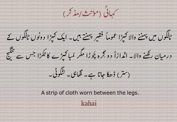 کہائی , ٹانگوں میں پہننے والا کپڑا عموماً  فقیر پہنتے ہیں۔ ایک کپڑا دونوں ٹانگوں کے درمیان رکھنے والا۔ انٛدازاً دو گِرہ چَوڑا مگر لمبا کپڑے کا ٹکڑا جس سے ننٛگیج (ستر) ڈھکا جاتا ہے۔ گھاہی۔ لنٛگوٹی۔
  A strip of cloth worn between the legs., kahai,  ਕਹਾਈ