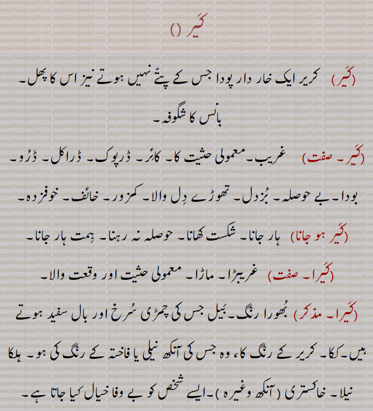 کیر,کریر ایک خار دار پودا جس کے پتے نہیں ہوتے نیز اس کا پھل۔ بانس کا شگوفہ,کیر۔, غریب۔معمولی حثیت کا۔ کائر۔ ڈرپوک۔ ڈراکل۔ ڈرو۔ بودا۔بے حوصلہ۔ بزدل۔ تھوڑے دل والا۔ کمزور۔ خائف۔ خوفزدہ,کیر ہو جانا, ہار جانا۔ شکست کھانا۔ حوصلہ نہ رہنا۔ ہمت ہار جانا,کیرا, غریبڑا۔ ماڑا۔ معمولی حثیت اور وقعت والا,کیرا,بھورا رنگ۔بیل جس کی چمڑی سرخ اور بال سفید ہوتے ہیں۔ککا۔ کریر کے رنگ کا، وہ جس کی آنکھ نیلی یا فاختہ کے رنگ کی ہو۔ ہلکا نیلا۔ خاکستری   آنکھ وغیرہ  ۔ایسے شخص کو بے وفا خیال کیا جاتا ہے,کیرا,گربہ چشم۔زرد سی آنکھوں والا۔بھورا۔بھینگا۔ کبرا,کیری, کیرا سے,کیری اکھے ویکھنا, غصہ میں دیکھنا۔ کیری اکھ نال ویکھنا۔