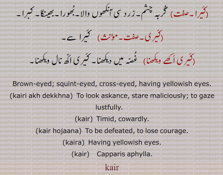 Brown-eyed; squint-eyed, cross-eyed, having yellowish eyes.,kairi akh dekkhna,  To look askance, stare maliciously; to gaze lustfully.   ,kair,  Timid, cowardly.,kair hojaana,  To be defeated, to lose courage.,kaira,  Having yellowish eyes.,kair,    Capparis aphylla.,kair
ਕੈਰੀ ਅੱਖ ਦੇਖਣਾ, kaira, ਕੈਰਾ, kair,ਕੈਰ,