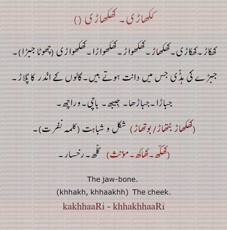 
ککھاڑی۔ کھکھاڑی ,کھکاڑ۔کھکاڑی۔کھکھاڑ۔کھکھواڑ۔کھکھواڑا۔کھکھواڑی ,چھوٹا جبڑا,جبڑے کی ہڈّی جس میں دانت ہوتے ہیں۔گالوں کے انٛدر کا پُلاڑ۔ جباڑا۔جباڑھا۔ جِیبھ۔ باچی۔وراچھ,کھکھاڑ بُتھاڑ/ بوتھاڑ, شکل و شباہت ,کھکّھ۔کھاکھ, گلّھ۔رخسار۔
The jaw-bone. , khhakh, khhaakhh,  The cheek.,kakhhaaRi, khhakhhaaRi,,ਕਖਾੜੀ, ਖਖਾੜੀ,ਖਕਾੜ,ਖਕਾੜੀ,ਖਖਾੜ,ਖਖਵਾੜ,ਖਖਵਾੜਾ,ਖਖਵਾੜੀ,