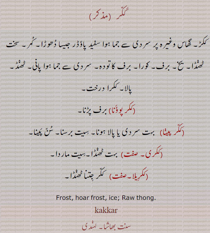 ککر ,ککڑ۔ گھاس وغیرہ پر سردی سے جما ہوا سفید پاؤڈر جیسا دھوڑا۔ کہر۔ سخت ٹھنڈا۔ یخ۔ برف۔ کورا۔ برف کا تودہ۔ سردی سے جما ہوا پانی۔ ٹھنڈ۔ پالا۔ ککرا درخت,ککر پوؤنا), برف پڑنا,ککر پیڽا,   بہت سردی یا پالا ہونا۔ سیت برسنا۔ سن پینا,ککری۔, بہت ٹھنڈا۔سیت ماردا,ککریلا, ککر جتنا ٹھنڈا,ککری,  کنڈیر۔ تکیر۔ کوڑ۔
Frost, hoar frost, ice; Raw thong.kakkar , kakar,ਕੱਕਰ,snow, ice