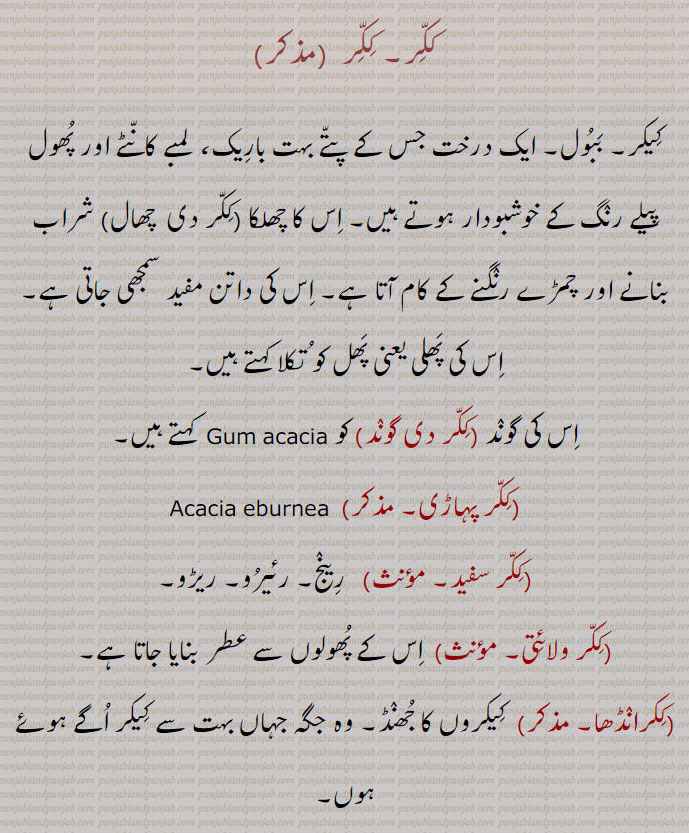 ککر,کیکر۔ ببول۔ ایک درخت جس کے پتے بہت باریک،  لمبے کانٹے اور پھول پیلے رنگ کے خوشبودار ہوتے ہیں۔ اس کا چھلکا (ککر دی  چھال) شراب بنانے اور چمڑے رنگنے کے کام آتا ہے۔ اس کی داتن مفید سمجھی جاتی ہے۔ اس کی پھلی یعنی پھل کو تکلا کہتے ہیں,اس کی گوند ,ککر دی گوند,کو   کہتے ہیں۔
,ککر پہاڑی,,ککر سفید,  رینج۔ رئیرو۔ ریڑو۔,ککر ولائتی, اس کے پھولوں سے عطر بنایا جاتا ہے,ککرانڈھا, کیکروں کا جھنڈ۔ وہ جگہ جہاں بہت سے کیکر اگے ہوئے ہوں,ککری,  ککر کا بچہ۔ چھوٹا ککر۔