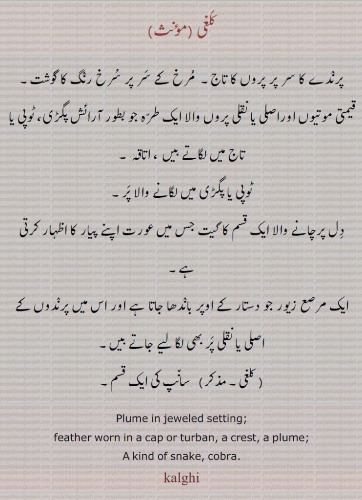   کلغی ,kalgi,kalghi,ਕਲਗੀ  ,Traditional Ornaments of Punjab,Jewellery,jewelry,zaiwar,زیور, ,گہنا,بھوکھن,النکار,ٹوم,ٹومب,ٹونب 
پرندے کا سر پر پروں کا تاج۔  مرخ کے سر پر سرخ رنگ کا گوشت۔
قیمتی موتیوں اوراصلی یا نقلی پروں والا ایک طرہ جو بطور آرائش پگڑی، ٹوپی یا تاج میں لگاتے ہیں ، اتاقہ ، ٹوپی یا پگڑی میں لگانے والا پر۔
دل پرچانے والا ایک قسم کا گیت جس میں عورت اپنے پیار کا اظہار کرتی ہے۔
ایک مرصع زیور جو دستار کے اوپر باندھا جاتا ہے اور اس میں پرندوں کے اصلی یا نقلی پر بھی لگا لیے جاتے ہیں،  سانپ کی ایک قسم۔
Plume in jeweled setting;, feather worn in a cap or turban, a crest, a plume;,A kind of snake, cobra.,kalghi,kalgi,