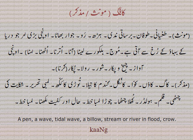 kaNg , ،کانگ، kaang , KANG,ਕਾਂਗ ,  pen. wave. tidal wave. billow. stream river in flood. crow, طھیانی۔ طوفان۔ برساتی ندی۔ ہڑھ۔ رو۔ جوار بھاٹا۔ بڑی لہر۔ موج۔ ہلکورے لینا۔ اونچی آواز۔ چیخ و پکار۔ شور۔ رولا۔ کاگ۔ کوا۔ کانگل۔ گندم کا تیلا۔ توڑی کا ککھ۔ لمبی تحریر۔ شکایت کی چٹھی۔ قلم۔ ہولڈر۔ کھلا چٹھا۔ لمبا خط۔ حال کفیت لکھنا۔ 