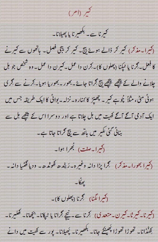 کیر ,کیرنا سے بکھیرنا۔ پھیلانا ,کیرا,  کیر کر ڈالے ہوئے بِیج۔ گِرنا یا ٹپکنا (پھلوں کا)۔ کیر کر بیجی فصل۔ ہاتھوں سے کیرنے کا عمل۔بوائی کا ایک طریقہ جس میں ایک آدمی آگے آگے کھیت میں ہل چلاتا ہے اور دوسرا اس کے پیچھے ہل سے بنائی گئی لکیر میں ہاتھ سے بیچ گراتا جاتا ہے۔کیرا, بُھرا ہوا ,بھور۔ کِرنے سے گِری ہوئی مٹی۔ مثلاً چُوہے کیر,کیرا لگنا, گِرنا پھلوں کا,کیرا بھورا, گِرا پڑا دانہ وغیرہ,کیرنا,  گِرنا۔ نِیچے گِرانا  یا  ٹپکانا۔ بِچھانا۔ کھلیرنا۔ کِھنٛڈانا۔ تھوڑا تھوڑا پَھینکے جانا۔ بکھیرنا۔ پَھیلانا۔ پور سے کھیت میں دانے بِیجنا۔ کِھلارنا۔ کِھنٛڈانا,کیری, کل۔ ایک پَودا۔ کِینٛگی,باریک اناج، جڑی بوٹیوں کے بیج وغیرہ۔ کوئلے کی دھول جو چھلنی سے گرتی ہے، اینٹیں ہٹانے کے بعد بَھٹّے کی دھول۔گرم راکھ,کیریاں لاؤنٛڈا, غریب محنتی جو ہل چلانے والے کے پیچھے پیچھے بِیج گِرانے کی مزدوری کرتا ہے,کِیرن,  کِھلرا ہوا۔ کِھنٛڈا ہوا,کیر,  تالاب یا حوض کا کِنارہ۔ چھپّر کا کِنارہ۔نزلہ,  کالا دانہ۔ پھیرو ساگ, عُضو۔ لِنٛگ۔ ذَکَر۔ قضیب۔ آلۂ تناسل , مرد کا ,کیرا,نمک جو کھانے کے لائق نہیں ہوتا,کیر۔کیرا,  کر,کا۔کے۔کی۔دا,کیری,  کی۔دی,کیرے,  کے۔دے,  کیڑ، ایک قسم کی مچھلی۔