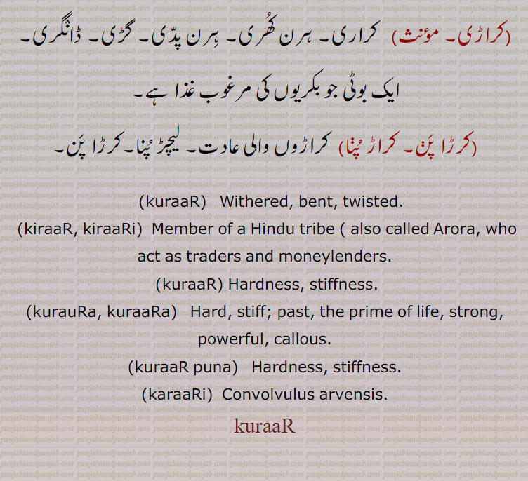 kurar ,kuraar,ਕੁਰਾਡ਼, Withered, bent, twisted., kirar, kiraar,ਕਿਰਾਡ਼, A tribe of Hindus also called Arora., hardness, stiffness. past. callous. strong. convolvulus, karari. karaari. kurar puna. kuraar puna. kuraura. kuraara. kiraari. kuraar, karari. karaari. kuraar puna. kurar puna. kuraura. kurara. kirari. kurar, ਕਰਾੜ,, convolvulus arvensis,