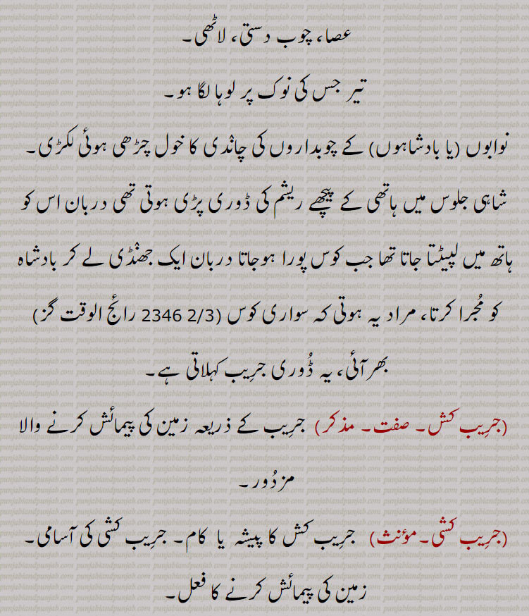 تیر جس کی نوک پر لوہا لگا ہو۔
نوابوں (یا بادشاہوں) کے چوبداروں کی چاندی کا خول چڑھی ہوئی لکڑی۔
 شاہی جلوس میں ہاتھی کے پیچھے ریشم کی ڈوری پڑی ہوتی تھی دربان اس کو ہاتھ میں لپیٹتا جاتا تھا جب کوس پورا ہوجاتا دربان ایک جھنڈی لے کر بادشاہ کو مجرا کرتا، مراد یہ ہوتی کہ سواری کوس (2/3 2346 رائج الوقت گز) بھرآئی، یہ ڈوری جریب کہلاتی ہے۔
 (جریب کش۔ صفت۔ مذکر)  جریب کے ذریعہ زمین کی پیمائش کرنے والا مزدور۔
(جریب کشی۔مؤنث)   جریب کش کا پیشہ  یا  کام۔ جریب کشی کی آسامی۔ زمین کی پیمائش کرنے کا فعل۔