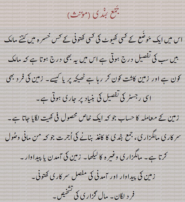 جمع بندی,اس میں ایک موضع کے کسی کھیوٹ کی کسی کھتونی کے کس خسرہ میں کتنے مالک ہیں سب کی تفصیل درج ہوتی ہے اس میں یہ بھی درج ہوتا ہے کہ مالک کون ہے اور زمین کاشت کون کر رہا ہے ٹھیکہ پر یا  کیسے۔ زمین کی فرد بھی اسی رجسٹر کی تفصیل کی بنیاد پر جاری ہوتی ہے۔
زمین کے معاملہ کا حساب جو کہ ایک خاص محصول فی کھیت لگایا جاتا ہے۔ سرکاری مالگزاری، جمع بندی کا کاغذ بنانے کی اجرت جو کہ من مانی وصول کرتا ہے۔ مالگزاری وغیرہ کا لیکھا۔ زمین کی آمدن یا پیداوار۔
زمین کی پیداوار اور آمدنی کی مفصل سرکاری کھتونی۔
فرد لگان۔ مال گزاری کی تشخیص,جمع بندی مجوّزہ,تشخیص یا تجویز جمع بندی۔ وہ جمع بندی جس کی تشخیص کی گئی ہو,جمع بندی مفصّل, جس سال کسی گاؤں کے نقشہ جات چار سالہ مرتب ہوں اس سال جمع بندی میں ہر نمبر کھیت کا اندراج مکمل ہونا چاہیے ایسی جمع بندی کو جمع بندی مفصل کہتے ہیں,جمع تحقیقی,   وہ تشخیص جمع جو باقاعدہ پیمائش زمین کے بعد کی گئی ہو,جمع بھرنا,  مال گزاری ادا کرنا,جمع ترمیم شدہ,  وہ جمع جس کی ترمیم ہوگئی ہو، وہ لگان جس کی ترمیم ہو گئی ہو۔
  Official record of land holdings, cadastre. , jama bandi
