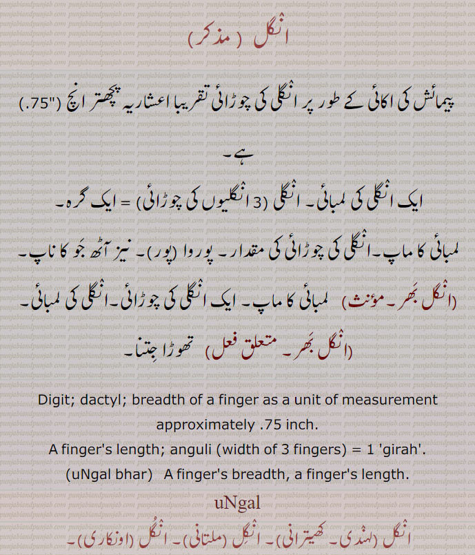 انگل,angul,ungal ,ਅੰਗੁਲ, ਉਂਗਲ਼,ungal bhar,انگل بھر 
انگل, پیمائش کی اکائی کے طور پر انگلی کی چوڑائی تقریبا اعشاریہ پچھتر انچ   ہے۔
ایک انگلی کی لمبائی۔ انگلی , ایک گرہ,لمبائی کا ماپ۔انگلی کی چوڑائی کی مقدار۔ پوروا ,پور ۔ نیز آٹھ جو کا ناپ,انگل بھر,   لمبائی کا ماپ۔ ایک انگلی کی چوڑائی۔انگلی کی لمبائی,انگل بھر۔,   تھوڑا جتنا۔
Digit; dactyl; breadth of a finger as a unit of measurement approximately,A finger's length; anguli ,1 'girah'.,uNgal bhar,   A finger's breadth, a finger's length., uNgal,  uNgali,  انگل ,