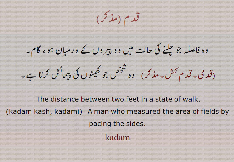 قدم ، وہ فاصلہ جو چلنے میں دو پیروں کے درمیان ہو۔ قدمی۔ قدم کش۔ کھیتوں میں پیمائش کرنے ولا۔ ،ਕਦਮ ,A man who measures the area of fields by pacing the sides,ਕਦਮੀ, distance between two feet in a state of walk. kadam, qadam.