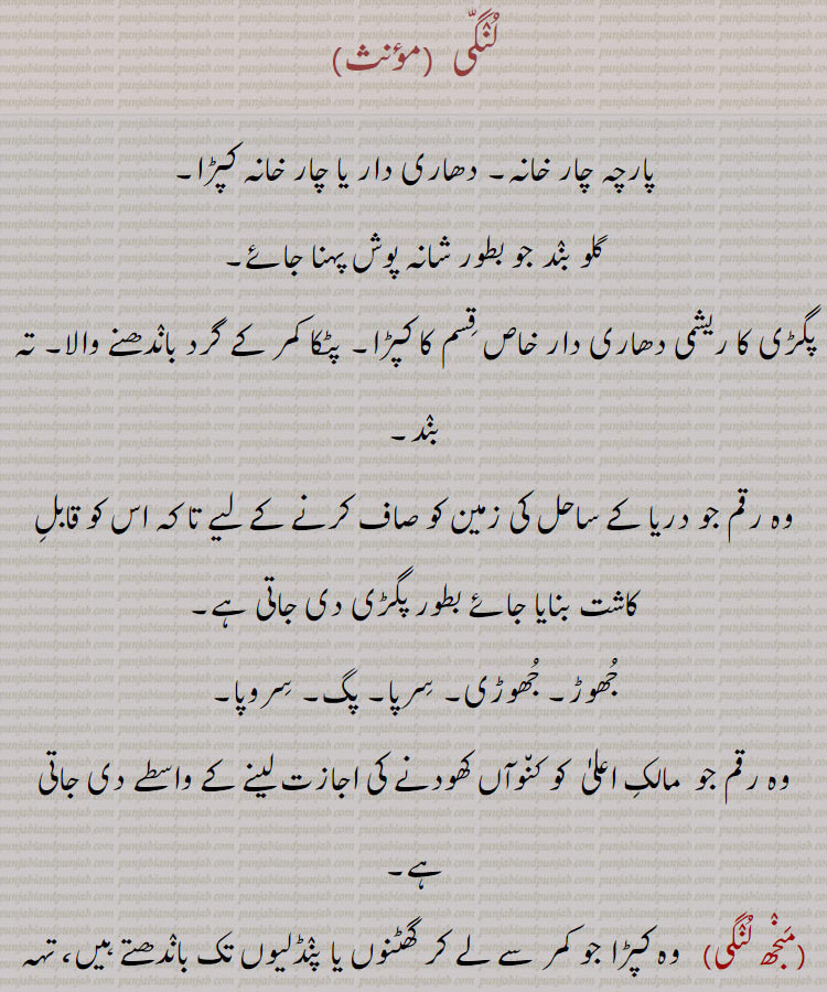 لنگی۔ پارچہ چار خانہ۔ داھاری دار کپڑا۔ گلو بند۔ پگڑی کا ریشمی دھاری دار کپڑا۔ پٹکا۔ رقم جو ساحل کی زمین صاف کرنے کو بطور پگڑی دی جائے۔ جھوڑ۔ جھوڑی۔ سرپا۔ پگ۔ سروپا۔ رقم جو مالک اعلی کو کنوآں کھودنے کی اجازت کے لیے دی جائے۔منجھ لنگی۔ جو گھٹنوں یا پنڈلیوں تک باندھا جائے ۔ تہبند۔ پشاوری لنگی۔ سر پر دھاردار ریشمی رنگین پگڑی۔ صافہ۔