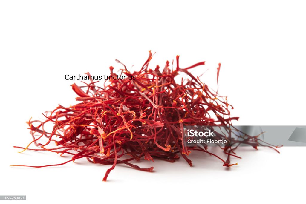 safflower. Carthamus tinctorius, کسمھ۔ کسم۔ کسنبھا۔ کسمبھڑا۔ کسنبھ۔ کسنبھی۔ کسمھ, ਕਿਸਮ,ਕਸਨਬਾ,kusumh   ,ਕੁਸੁਮ੍ਹ , kusumbha, ਕੁਸੁੰਭਾ,karaR، ਕਰਡ਼,plant,پودا