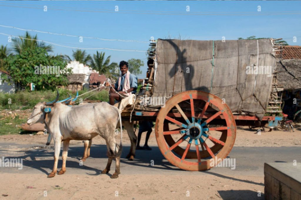 ਮੰਝੋਲੀ, manjholi, ਮਝੋਲੀ, majholi , A carriage ڈولی۔ ,مجھولی۔ منجھولی۔, cart, doli,