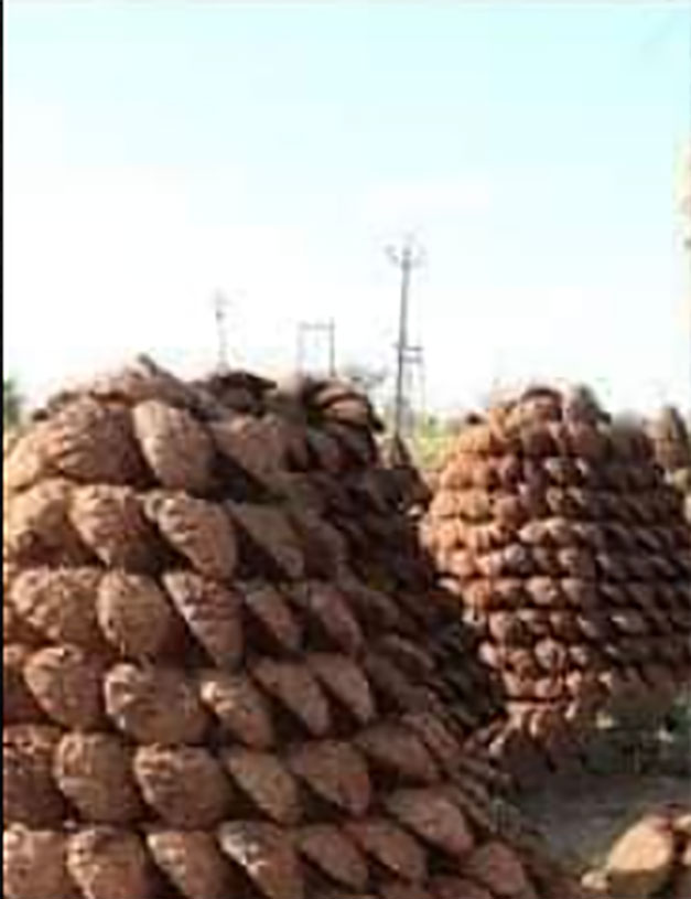 پاتھی , paathi, pathi