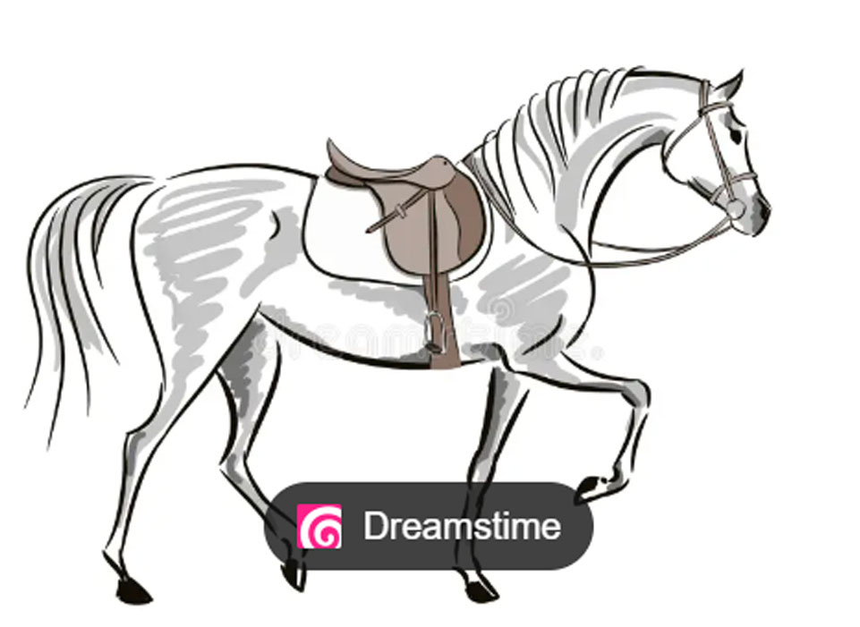 A pack saddle of a camel, or mule. but particularly that of a mule or horse. , plaan, plan,  ਪਲਾਣ, plaana, ਪਲਾਣਾ, پلان  ، کجاوا
