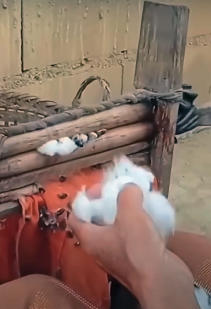 پونگا، اوزار، tool, punga, poonga
