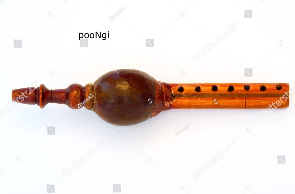 pungi, poongi, ,instrument, پونگی