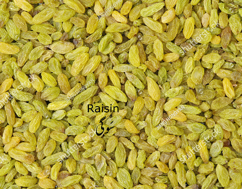 Raisin, سَوگی , پودا, plant