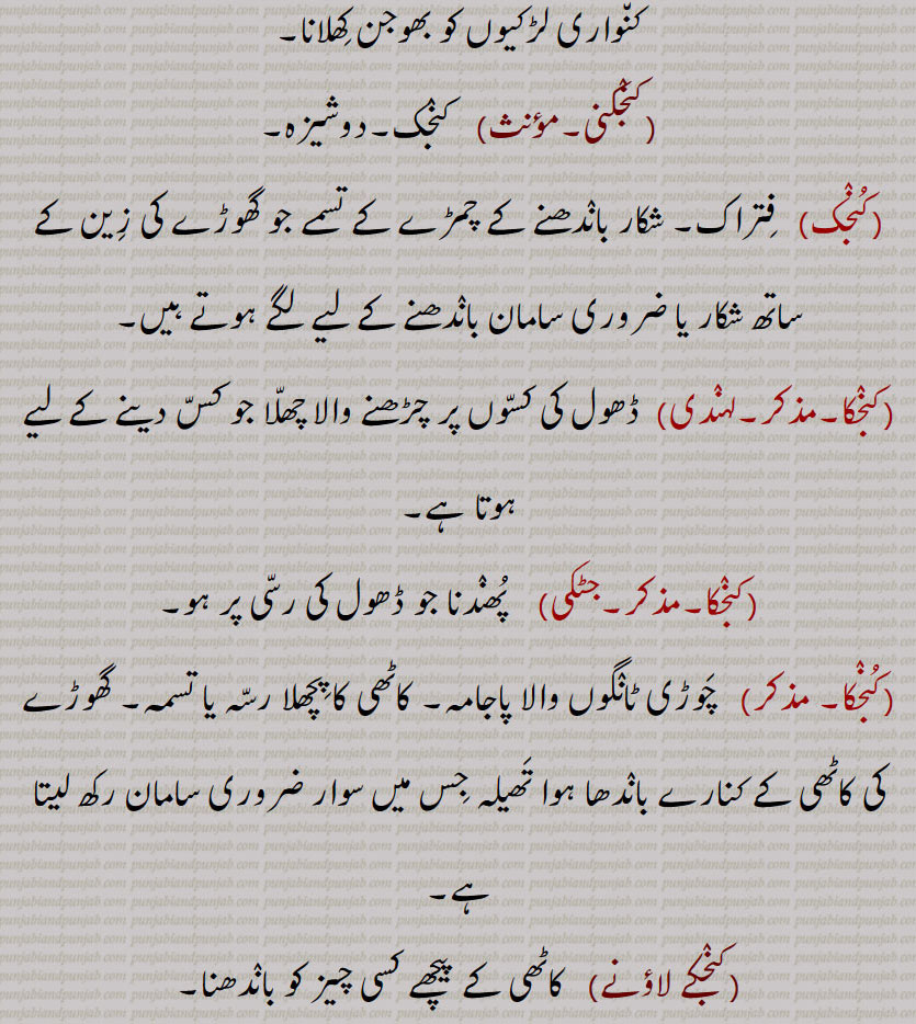کنجکی۔ کنجک۔ فتراک۔ شکار باندفھنے کے چمڑے کے تسمے جو گھوڑے کی زین کے ساتھ شکار ضروری سامان باندھنے کے لیے لگے ہوتے ہیں۔ کنجکا۔ ڈھول کی کسوں پر چڑھنے والا چھلا جو کس دینے کے لیے ہوتا ہے۔ پھندنا، ڈھول کی رسی پر۔ کنجکا۔ چوڑی ٹانگوں والا پاجامہ۔ کاٹھی کا پچھلا رسہ یا تسمہ۔ تھیلا کاٹھی کے ساتھ لگا۔ کاٹھی کے پیچھے کسی چیز کو باندھنا۔