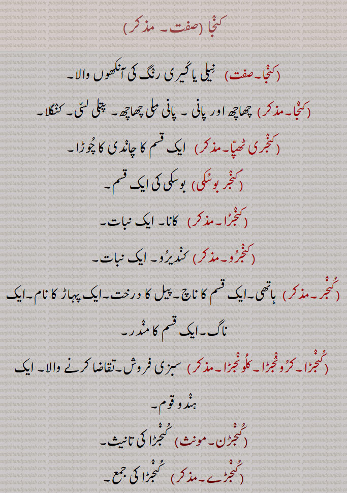 کنجا ,  نیلی یا کیری رنگ کی آنکھوں والا, چھاچھ اور پانی ۔ پانی ملی چھاچھ۔ پتلی لسی۔ کنگلا,کنجری ٹھپا, ایک قسم کا چاندی کا چوڑا,کنجر بوسْکی, بوسکی کی ایک قسم,کنجرا,کانا۔ ایک نبات,کنجرو,  کندیرو۔ ایک نبات,کنجر, ہاتھی۔ایک قسم کا ناچ۔پیل کا درخت۔ایک پہاڑ کا نام۔ایک ناگ۔ایک قسم کا مندر,کنجڑا۔کرونٛجڑا۔کلونجڑا,سبزی فروش۔تقاضا کرنے والا۔ ایک ہندو قوم,کنجڑن, کنجڑا کی تانیث,کنجڑے,کنجڑا کی جمع,کنجڑے کسائی,  سبزی گوشت وغیرہ  بیچنے والے۔کنایتہً  کمینے لوگ۔