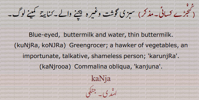 Blue-eyed,  buttermilk and water, thin buttermilk.,kuNjRa, koNJRa, Greengrocer; a hawker of vegetables, an importunate, , talkative, shameless person; 'karunjRa'., kaNjrooa,  Commalina obliqua, 'kanjuna'.,kaNja, ਕੰਜਾ,ਕੰਜਰ