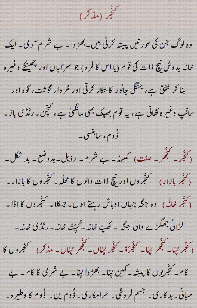 کنجر ,وہ لوگ جن کی عورتیں پیشہ کرتی ہیں۔بھڑوا۔ بے شرم آدمی۔ ایک خانہ بدوش نیچ ذات کی قوم  جو سرکیاں اور چھینکے وغیرہ بنا کر بیچتی ہے، جنگلی جانور کا شکار کرتی اور مردار گوشت، گوہ اور سانپ وغیرہ کھاتی ہے، یہ قوم بھیک بھی مانگتی ہے، کنچن۔رنڈی باز۔ ڈوم، ساہنسی,کنجر۔ کنجھر,   کمینہ۔ بے شرم۔ رذیل۔بدوضع۔ بد شکل,کنجر بازار, کنجروں اور نیچ ذات والوں کا محلہ۔کنجروں کا بازار,کنجر خانہ,  وہ جگہ جہاں اوباش رہتے ہوں۔چکلا۔ کنجروں کا اڈا۔ لڑائی جھگڑے والی جگہ ۔ کھپ خانہ۔کپت خانہ۔رنڈی خانہ,کنجر پنا۔کنجھر پنا۔ کنجرؤ۔کنجر پناں۔کنجھر پناں, کنجروں کا کام۔کنجریوں کا پیشہ۔کمین پنا۔ بھڑوا پنا۔ بے شرمی کا کام۔ بے حیائی۔بدکاری۔ جسم فروشی۔ حرامکاری۔ڈوم پن۔ ڈوم کا وطیرہ۔