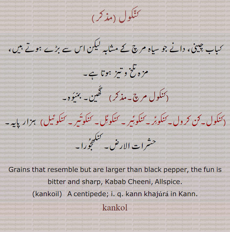 کنکول،کباب چینی، دانے جو سیاہ مرچ کے مشابہ لیکن اس سے بڑے ہوتے ہیں، مزہ تلخ و تیز ہوتا ہے،کنکول مرچ،  گھین۔ بمیوہ،کنکول۔ کن کرول۔کنکوئر۔کنکوئیر۔ کنکوئل۔ کنکوتیر۔ کنکوئیل)  ہزار پایہ۔ حشرات الارض۔ کنکھجورا۔
Grains that resemble but are larger than black pepper, the fun is bitter and sharp, Kabab Cheeni, Allspice., kankoil, A centipede; i. q. kann khajura in Kann.,kankol, kann khajoora